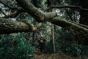 BIB: 
                            <button type="button" onclick="openModal(25706127)" class="btn btn-primary btn-sm float-right btn-popup" data-toggle="modal" data-target=".modal-high-quality">
                        <i class="fas fa-shopping-cart"></i> Add to Cart
                    </button>
                                            <button type="button" onclick="isThisMe(25706127, true)" class="btn btn-success btn-sm float-right btn-popup btn-isme hidden" data-toggle="tooltip" data-placement="bottom" title="นี่คือรูปของคุณใช่ไหม คลิกที่นี่เพื่อเอาเข้าอัลบั้ม">
                        <i class="fas fa-plus"></i> Add to album
                    </button>
                    <button type="button" onclick="isThisMe(25706127, false)" class="btn btn-warning btn-sm float-right btn-popup btn-isnotme hidden">
                        <i class="fas fa-ban"></i> Remove from album
                    </button>